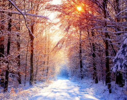 Summit Issue 23: Monday, December 3, 2018