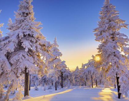 Summit Issue 1: Monday, January 7, 2019